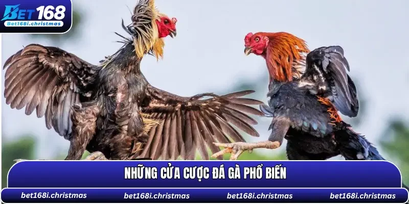 Có 3 cửa cược để bạn lựa chọn xuống tiền 