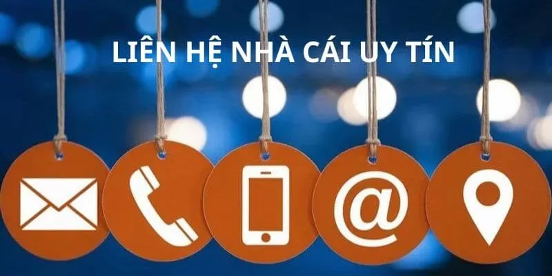 Đánh giá dịch vụ hỗ trợ khách hàng của trang cược Bet168